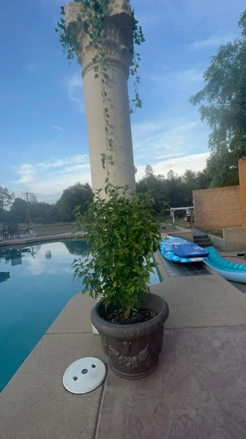 The Oasis Apartment เรดดิ้ง ภายนอก รูปภาพ